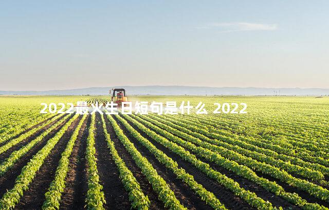 2022最火生日短句是什么 2022最精辟最火句子